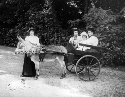 Carro de burro victoriano, c.1890 de English Photographer